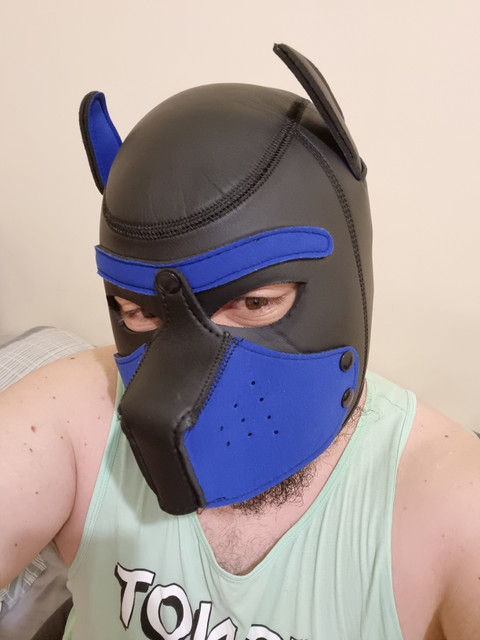 Puppy Scotty profile picture