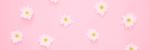 @homewitheliarose nude homewitheliarose nude