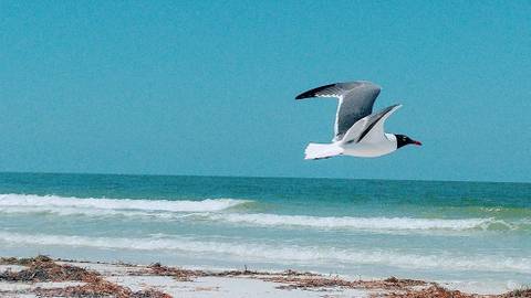 @alpineson nude alpineson nude