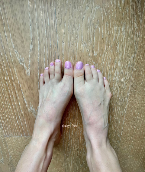 arya profile picture