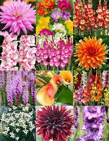 @garden.addicts nude garden.addicts nude