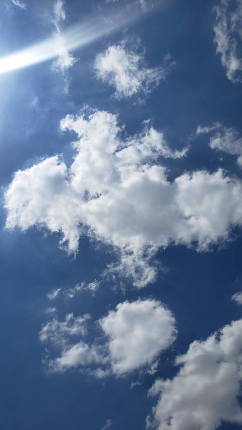 @elregiolopez nude elregiolopez nude