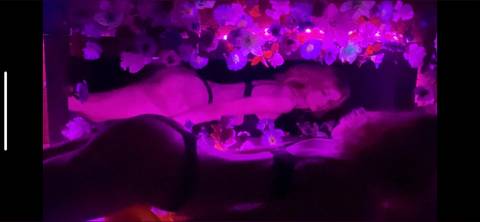 @lexyluthor nude lexyluthor nude