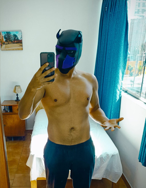 Bufallo Peruano🇵🇪Peruvian Buffalo profile picture