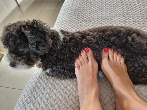 FeetStar profile picture