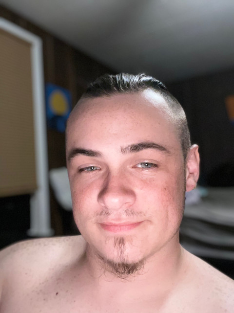 Noahs ark profile picture