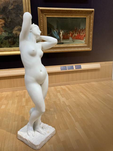 psycho muse profile picture