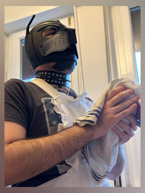 The S-Witcher profile picture