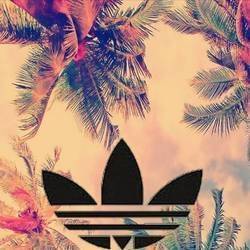 @u2282175 @u2282175