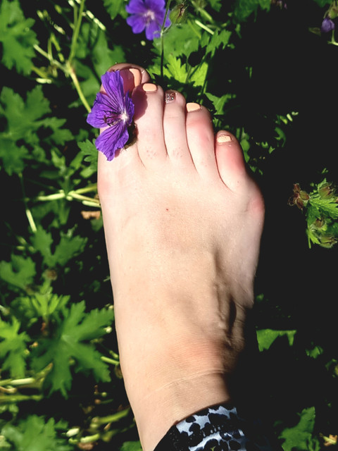 Soleil_Soles profile picture