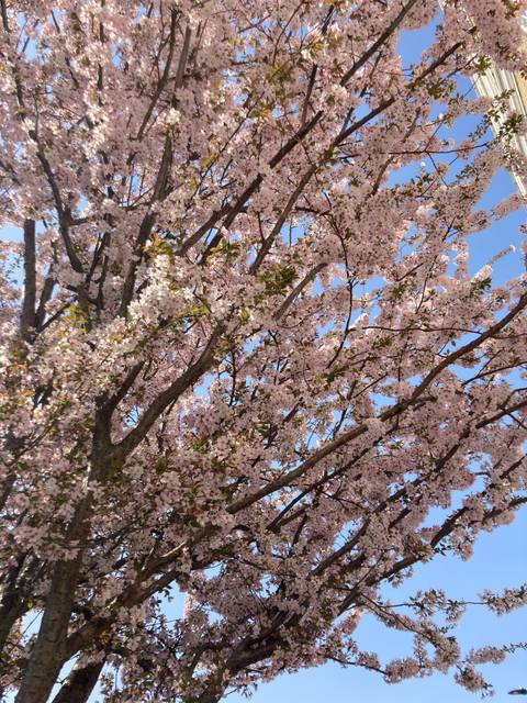 @u220545170 nude u220545170 nude