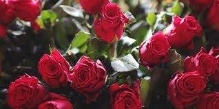 @lorenaxlove nude lorenaxlove nude