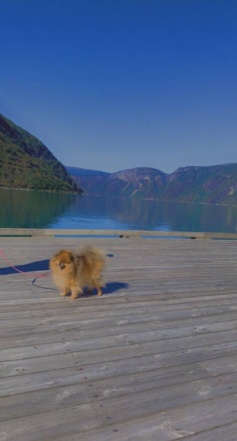 @camzipantz nude camzipantz nude