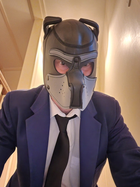 ben_the_gimp profile picture