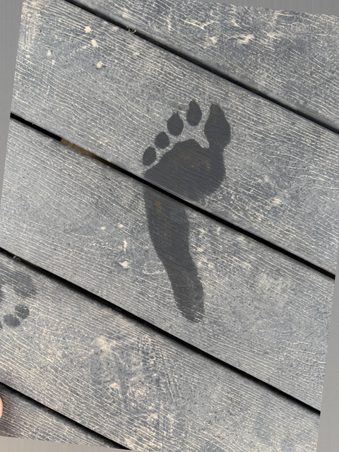 Feet x KT profile picture