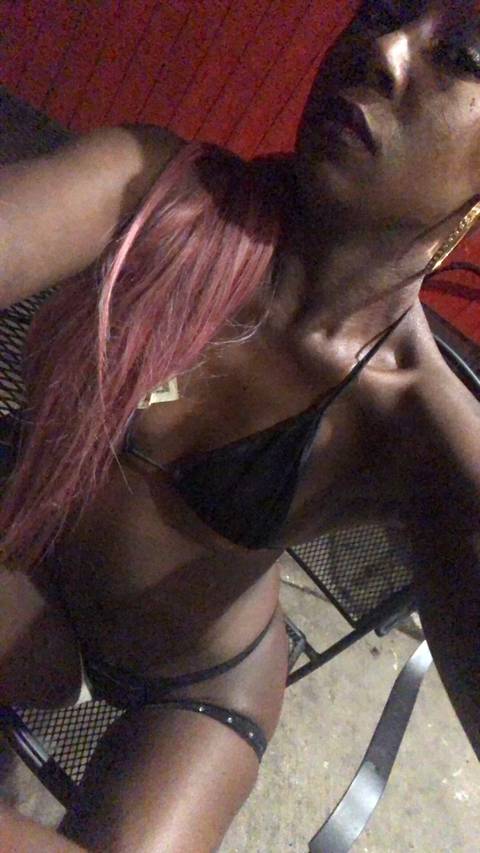 @kittykat_1 @kittykat_1