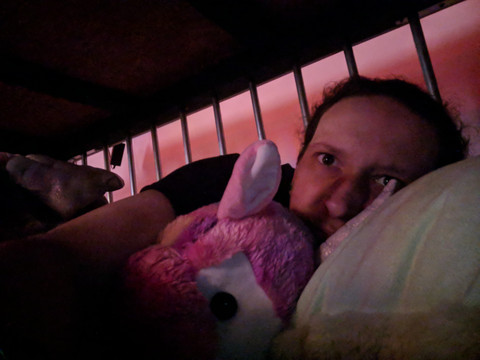 Disturbed-panda profile picture