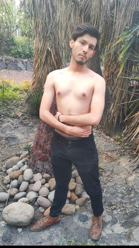 Ikaro profile picture