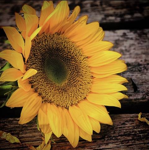 @exxoticabreeze nude exxoticabreeze nude