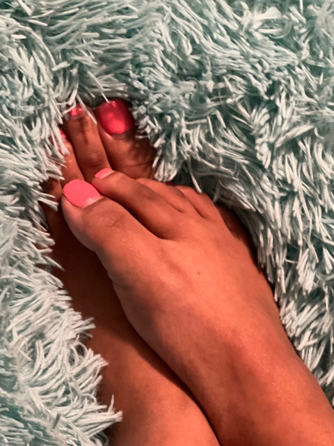 Sunflower profile picture