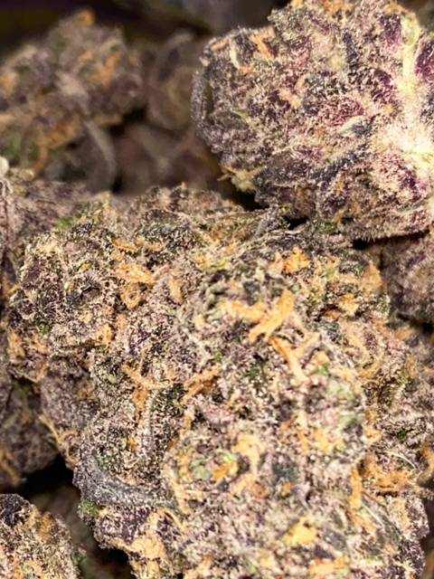 @mistakenstoner nude mistakenstoner nude