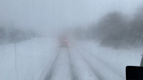 Btaylor profile picture