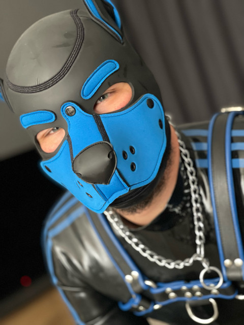 Pup Max profile picture