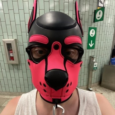 Krakels' Kitty Bits/Otter Bones profile picture