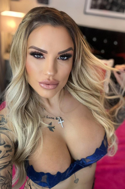 SUMMER FOX π profile picture