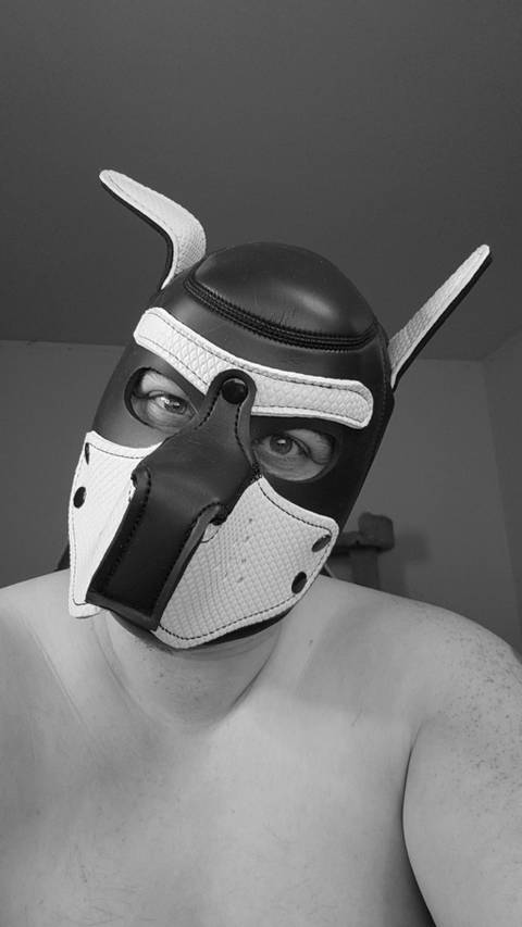 @bruiserthemutt @bruiserthemutt