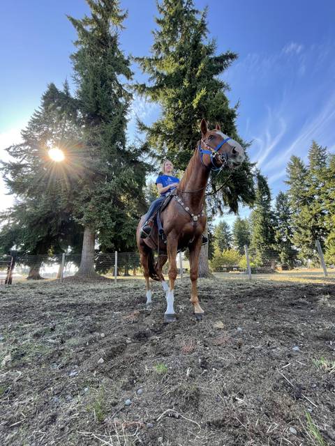 @hailisfans nude hailisfans nude