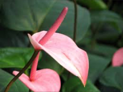 Anastasia❤️ profile picture