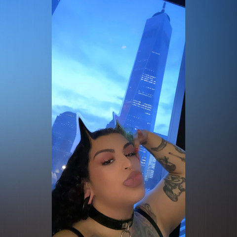 Lotus profile picture