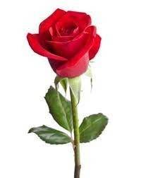 @hungcowboyxx @hungcowboyxx