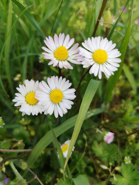 @bepositive_lenny nude bepositive_lenny nude