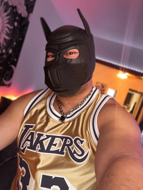 Dazzle Cub profile picture