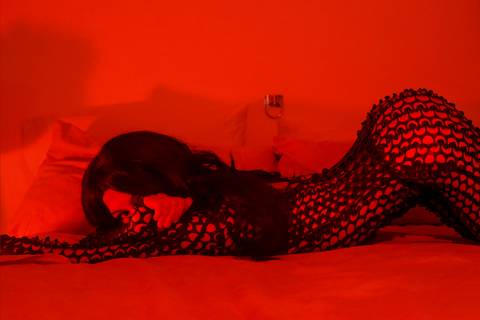 @velvetmelody808 @velvetmelody808