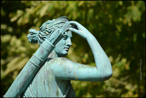 Artémis profile picture