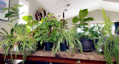 @brinny11 nude brinny11 nude