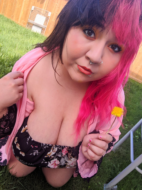 AlternativeKitty profile picture