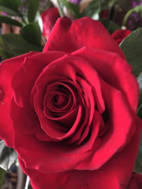 @ashleyrose4036 nude ashleyrose4036 nude