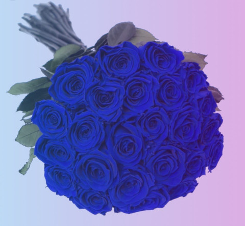 BlueRose profile picture