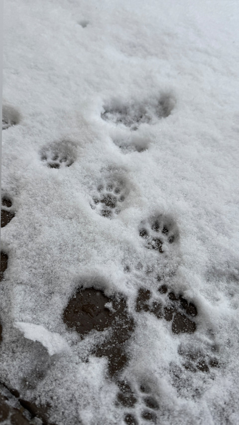 Eika VIP profile picture