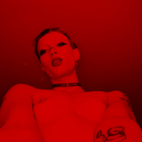 Scarlet profile picture