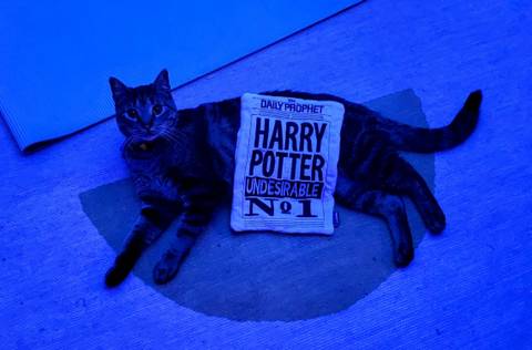 @notanappliance nude notanappliance nude