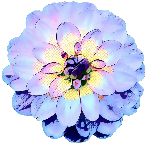 @disgraceddahlia nude disgraceddahlia nude