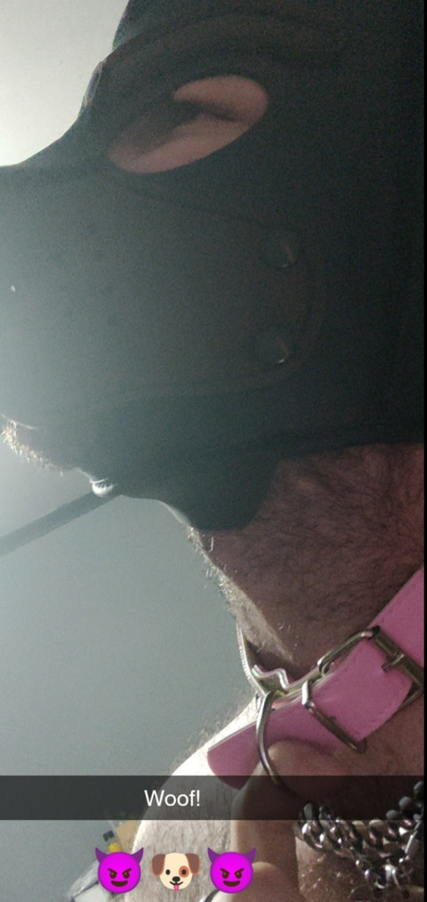 BabyBearPup profile picture
