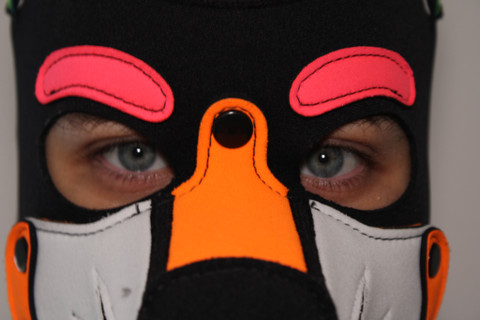 Pup Natsu profile picture
