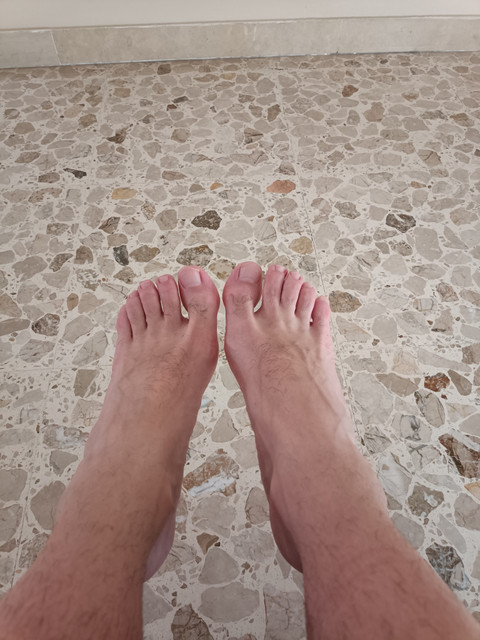 YSCO profile picture