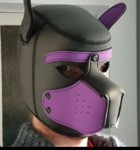 Naughty puppy profile picture